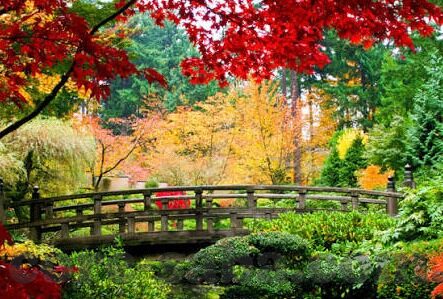 比分台湾足球联赛-比分背后的激情与梦想，透视台湾足球联赛的成长之路