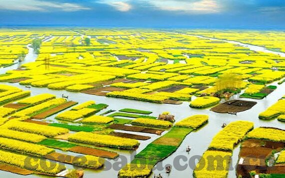 中国竞彩足球比分-中国竞彩足球比分，一场数据与激情的碰撞盛宴